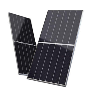 Kategori Billeder Colceller